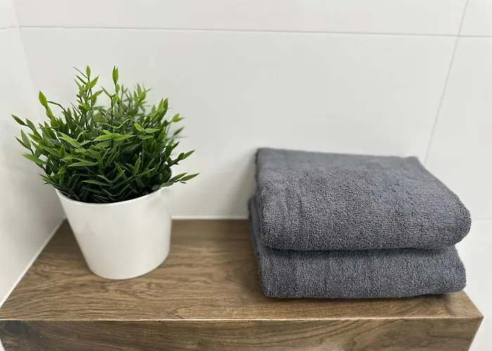 Kopalniana Street 公寓 *